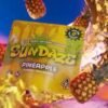 Sundaze Gummies Pineapple