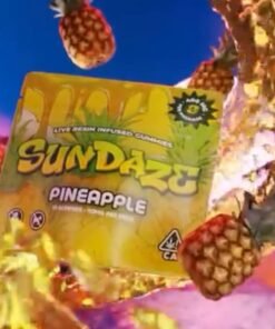 Sundaze Gummies Pineapple